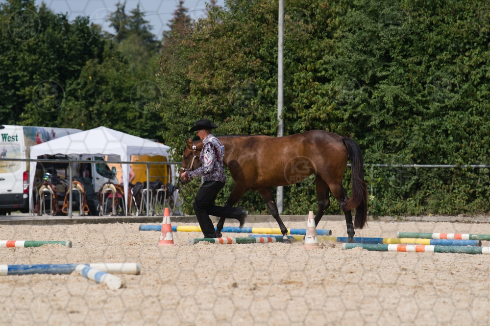 s_batch_A9_00113.jpg